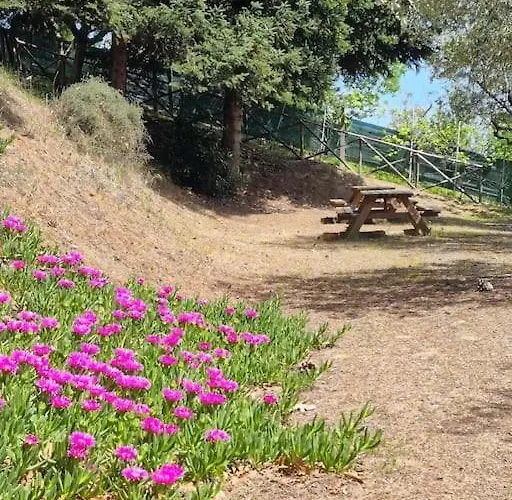 Casa vacanze Casa Cloe